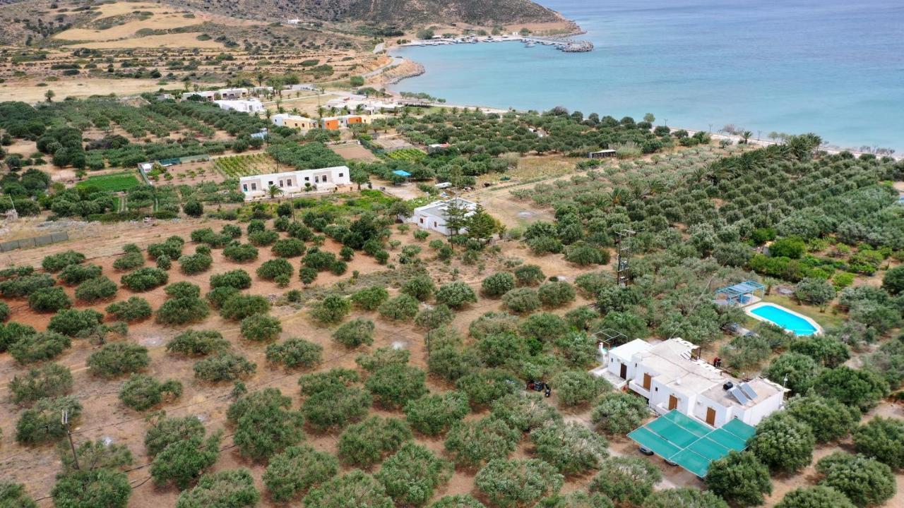 Voula'S Casa Di Mare Leilighet Palékastro Eksteriør bilde